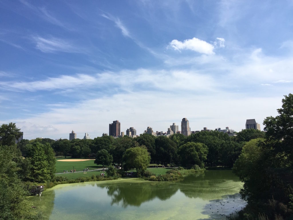 A Walk Through Central Park in September