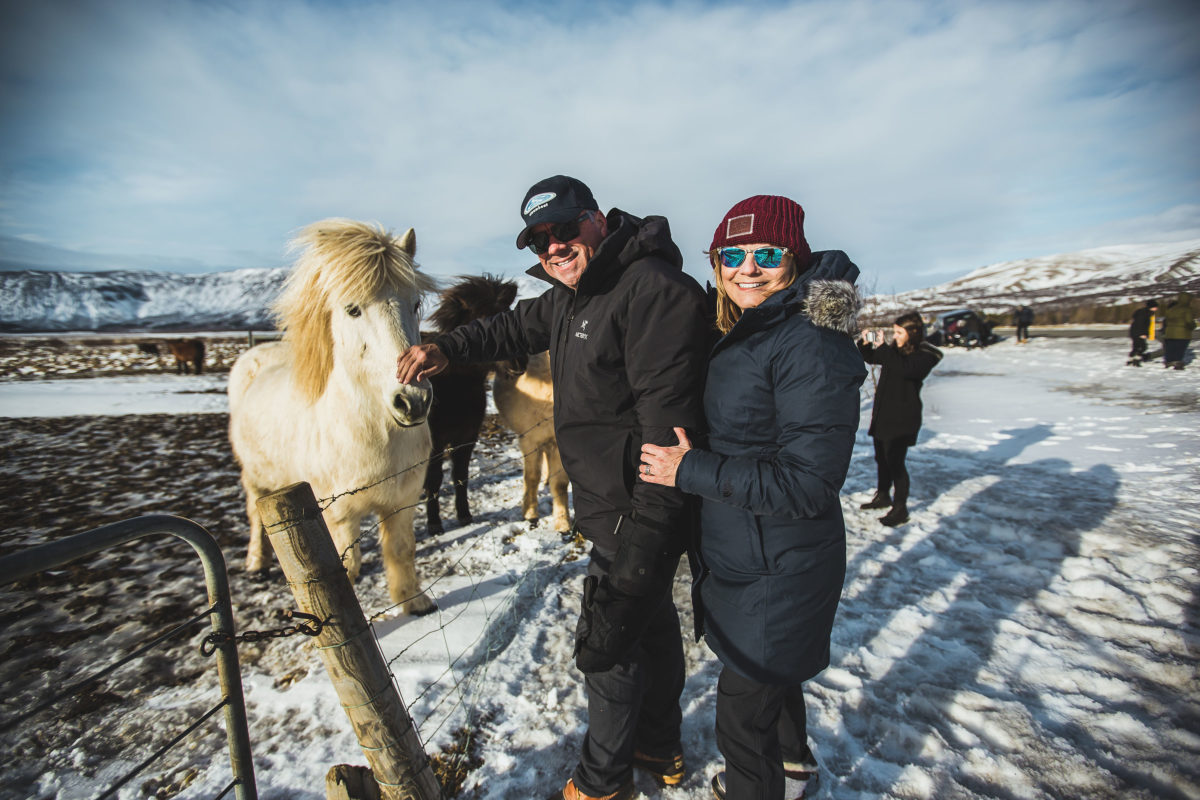 Icelandic Horses