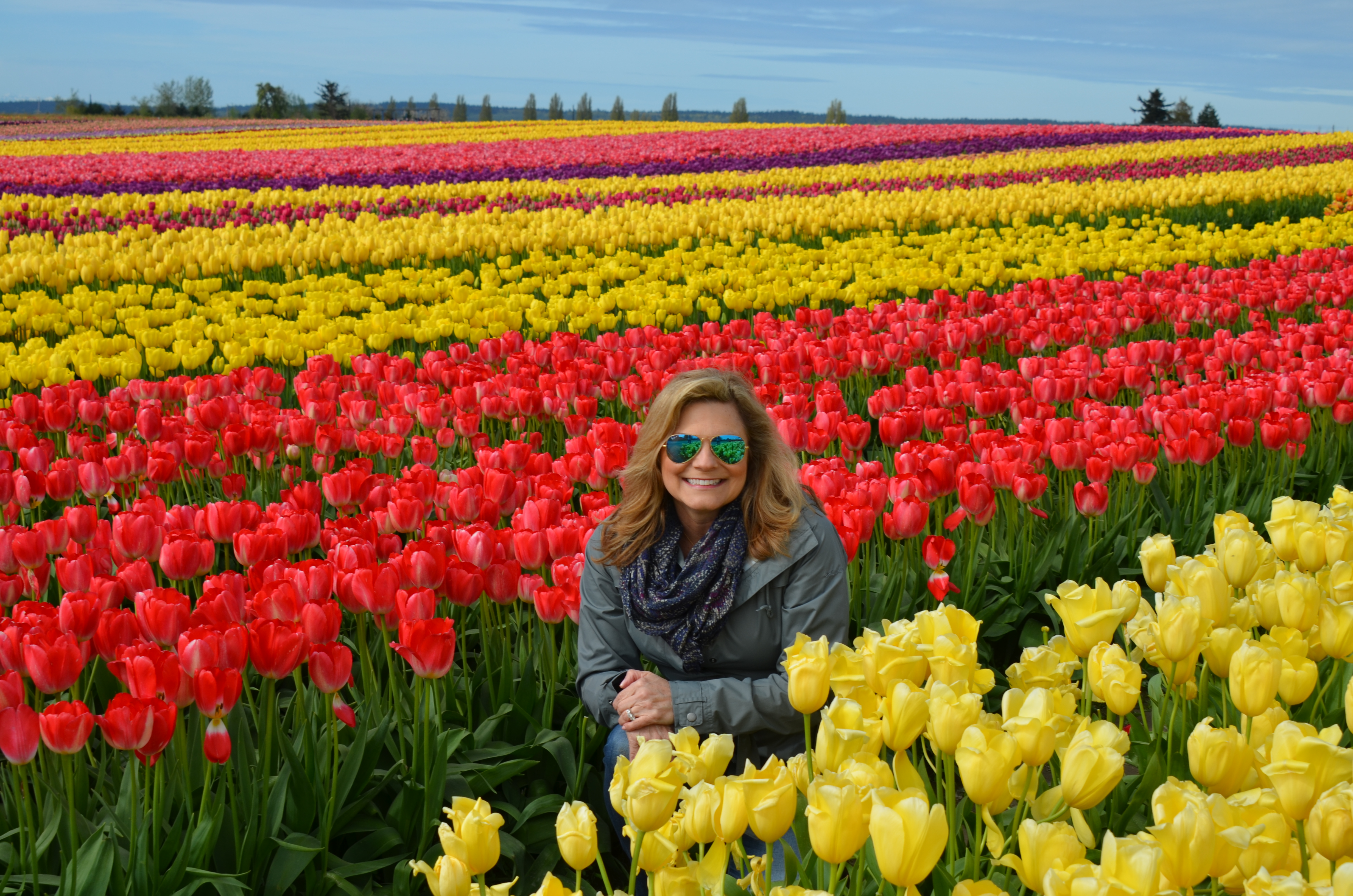 spectacular display of flowers