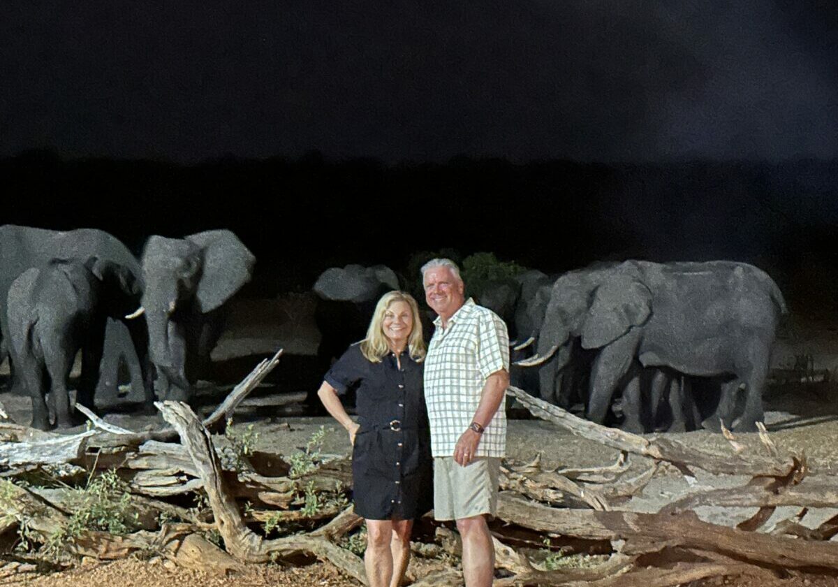 An unexpected evening encounter with the elephants on tour in South Africa with Collette — incredible!